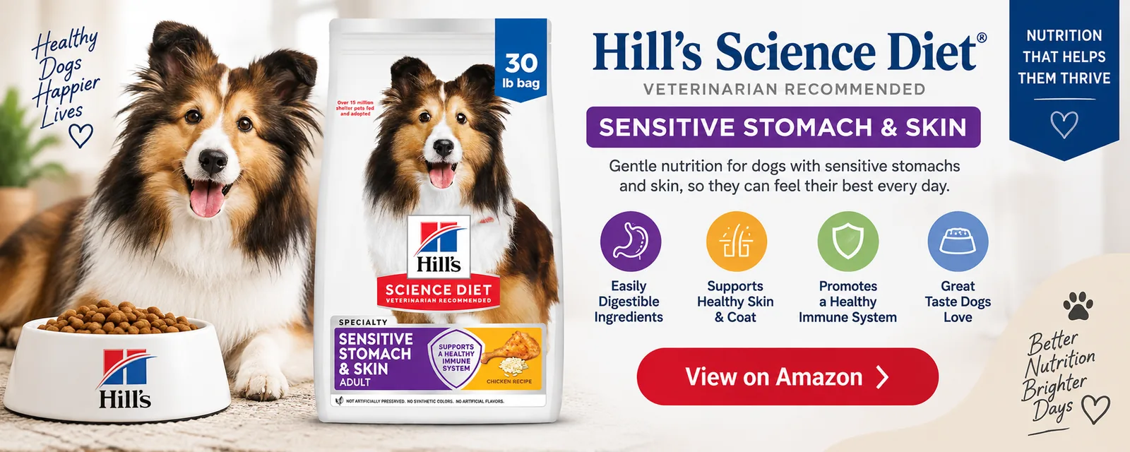 Hill's Science Diet sensitive stomach dog food, shown as a sponsored Amazon listing