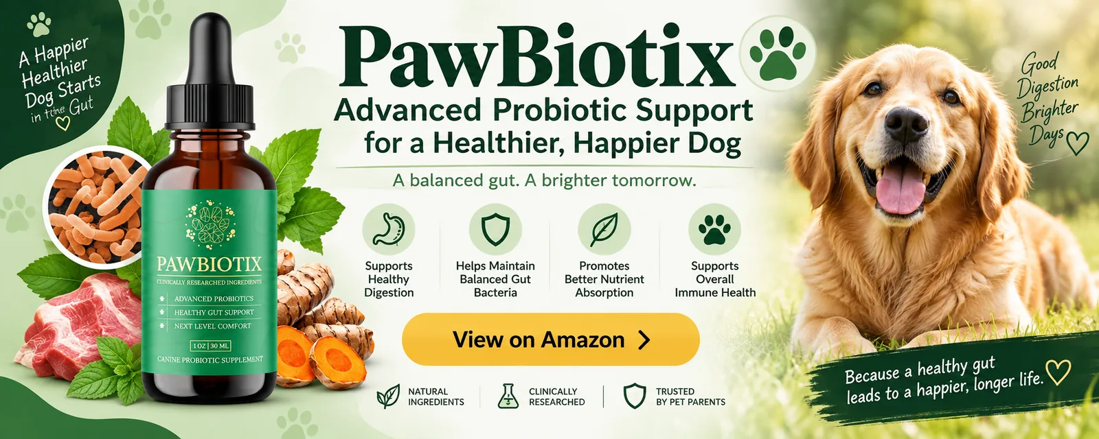 PawBiotix dog probiotic supplement, shown as a sponsored Amazon listing