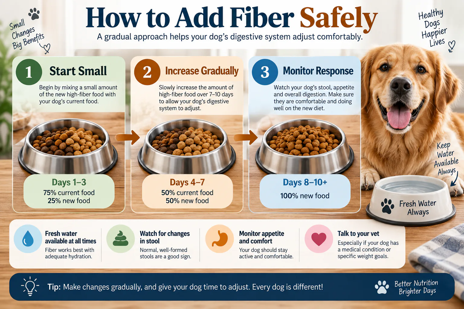 Steps for gradually adding fiber to a dog's diet while monitoring digestion