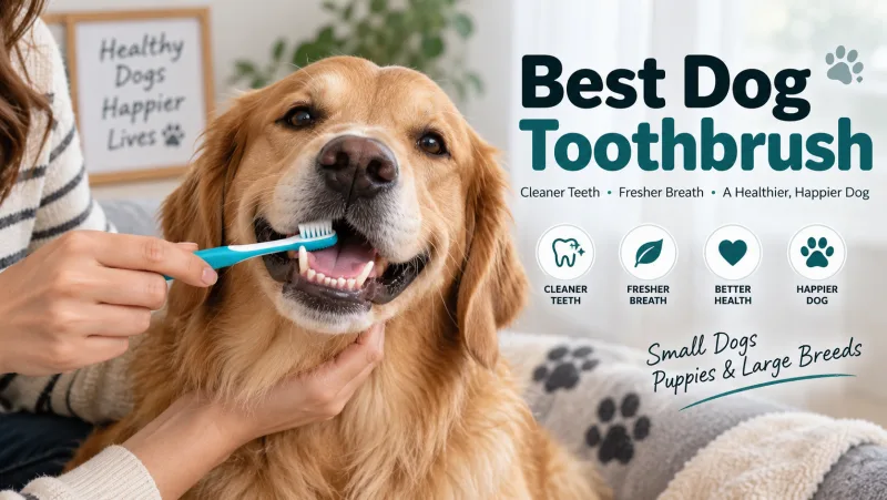 Best dog toothbrush guide cover