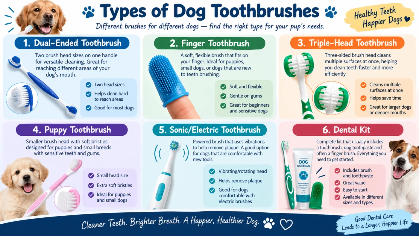 Types of dog toothbrushes: dual-ended, finger, triple-head, puppy, sonic or electric, and dental kits