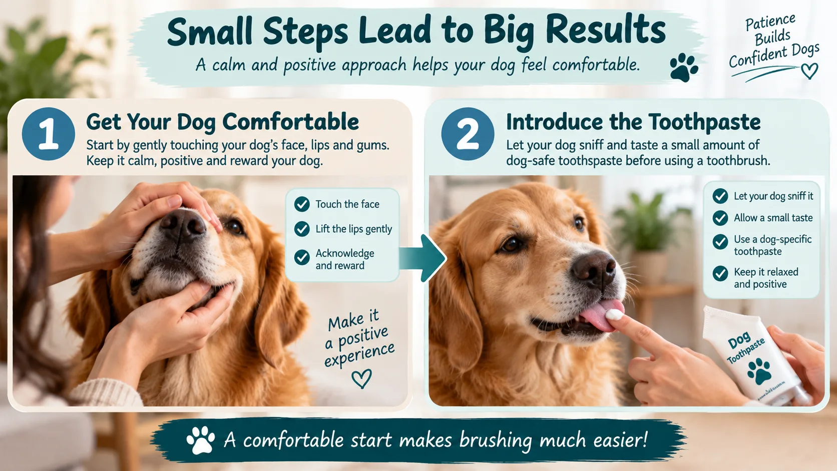 Introducing a dog to mouth handling and toothpaste before brushing