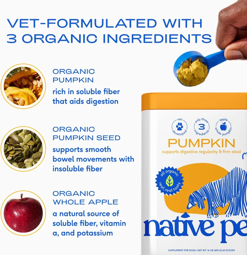 Native Pet organic pumpkin fiber supplement powder for dogs