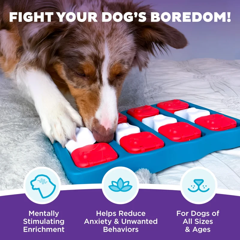 Nina Ottosson by Outward Hound Dog Brick interactive treat puzzle for dogs