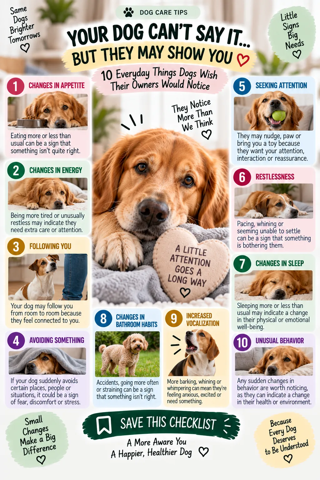 Infographic: 10 everyday things dogs wish their owners would notice